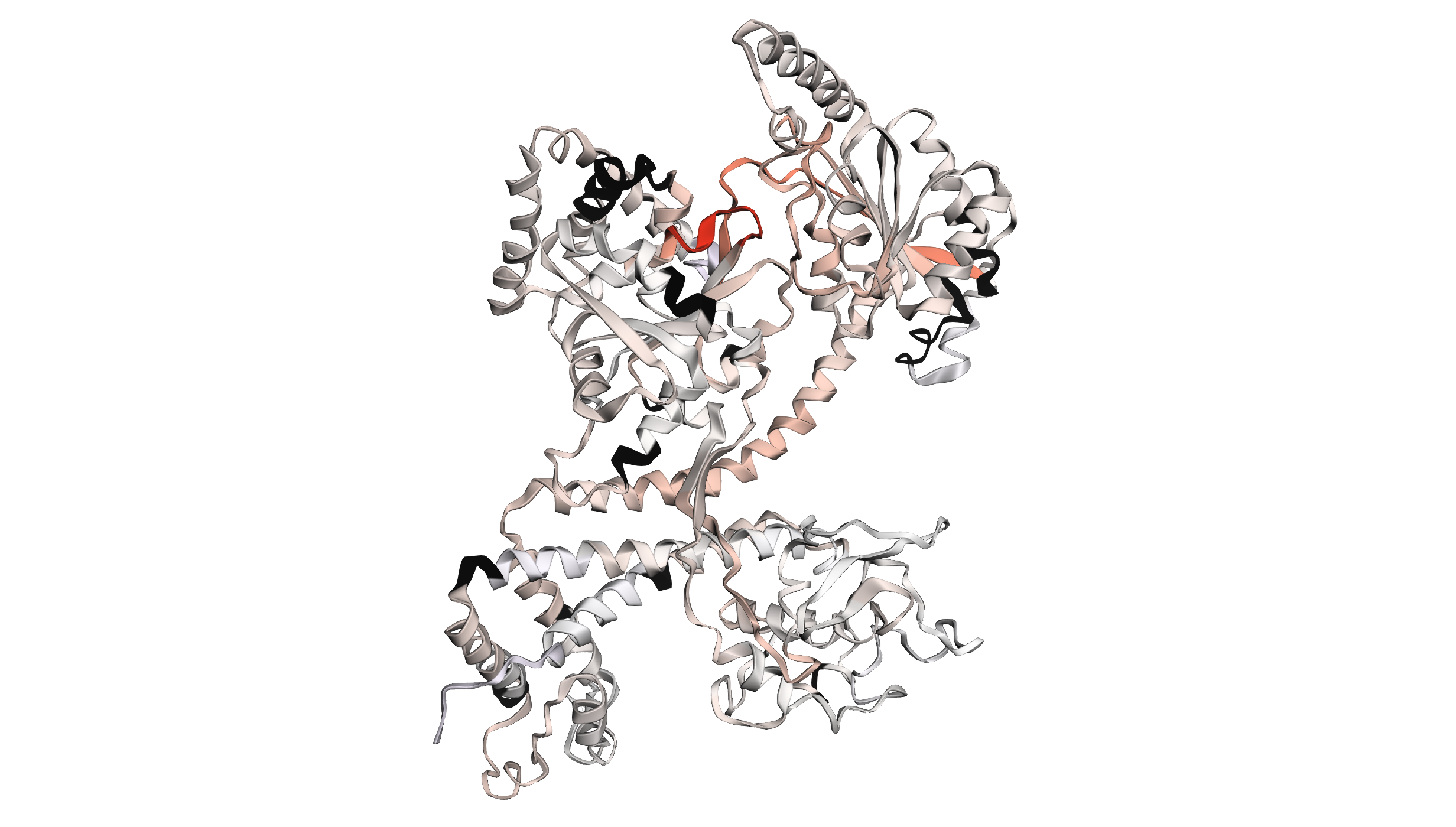 3D view of differential HDX data on the structure of SecA.